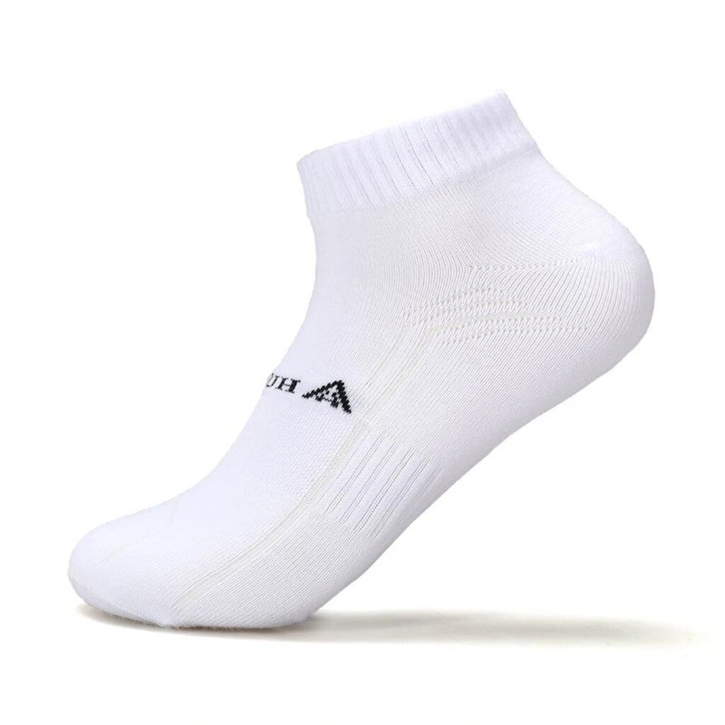 جورای هامتو 2024